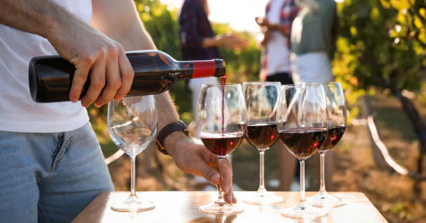 10 Best Italian Red Wines and 10 Best Whites: