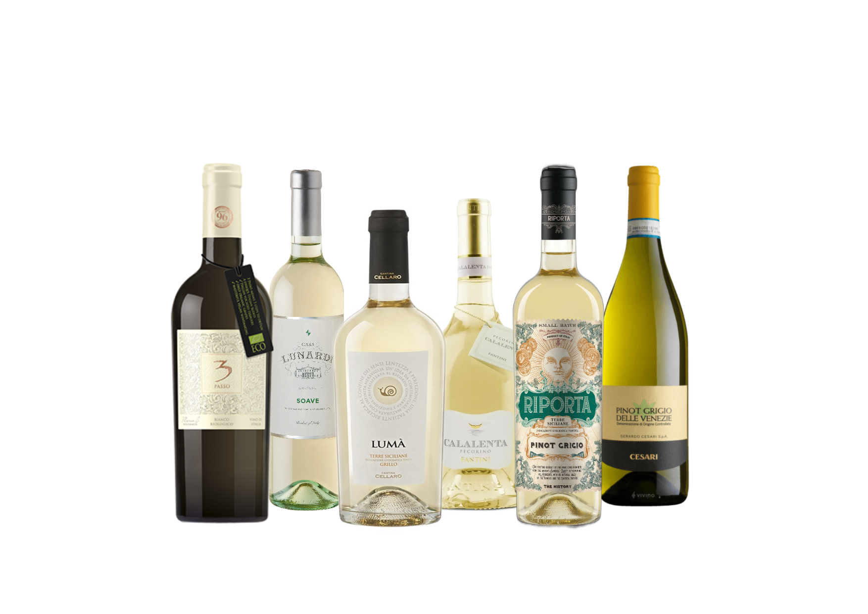Connoisseur White 6 Pack