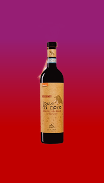 Coste di Moro Montepulciano d'Abruzzo