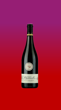 Gianni Masciarelli Montepulciano d'Abruzzo