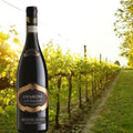 Monte Zovo - Amarone della Valpolicella Riserva - 2011