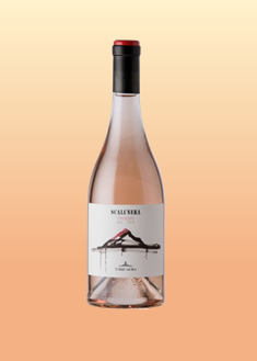Torre Moro Etna Rosé - 2022