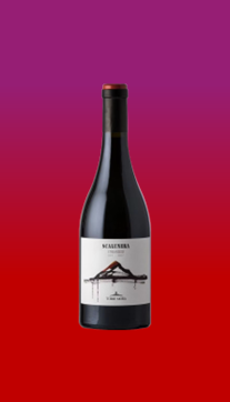 Torre Moro Etna Rosso - 2020