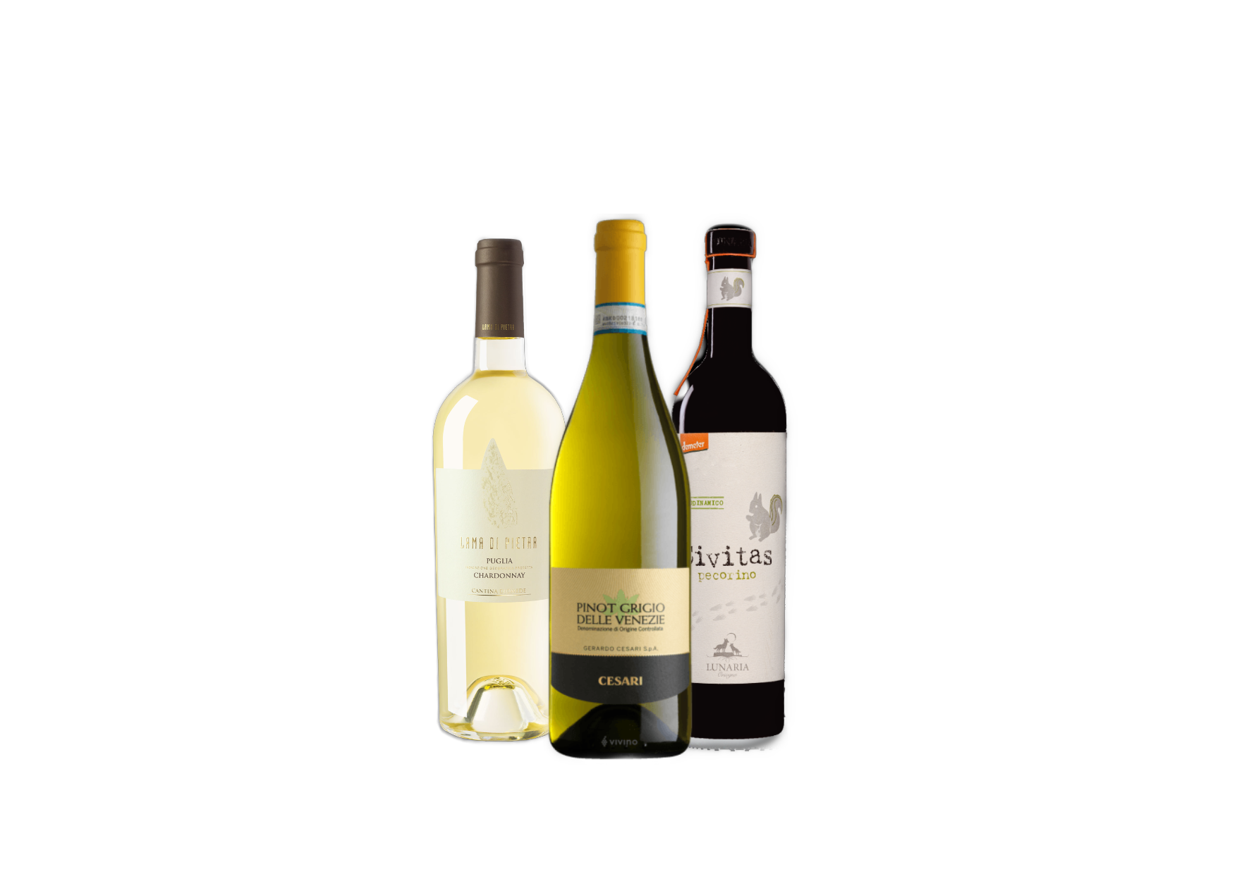 Connoisseur White Tasting Pack #2