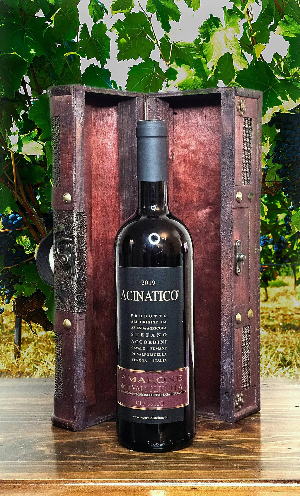 Stefano Accordini Amarone della Valpolicella Classico – Acinatico - 2019 with Unique Wooden Gift Box