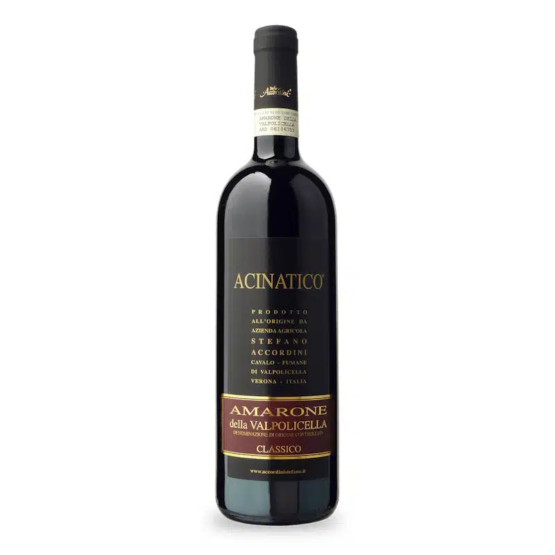 Stefano Accordini Amarone della Valpolicella Classico – Acinatico - 2019