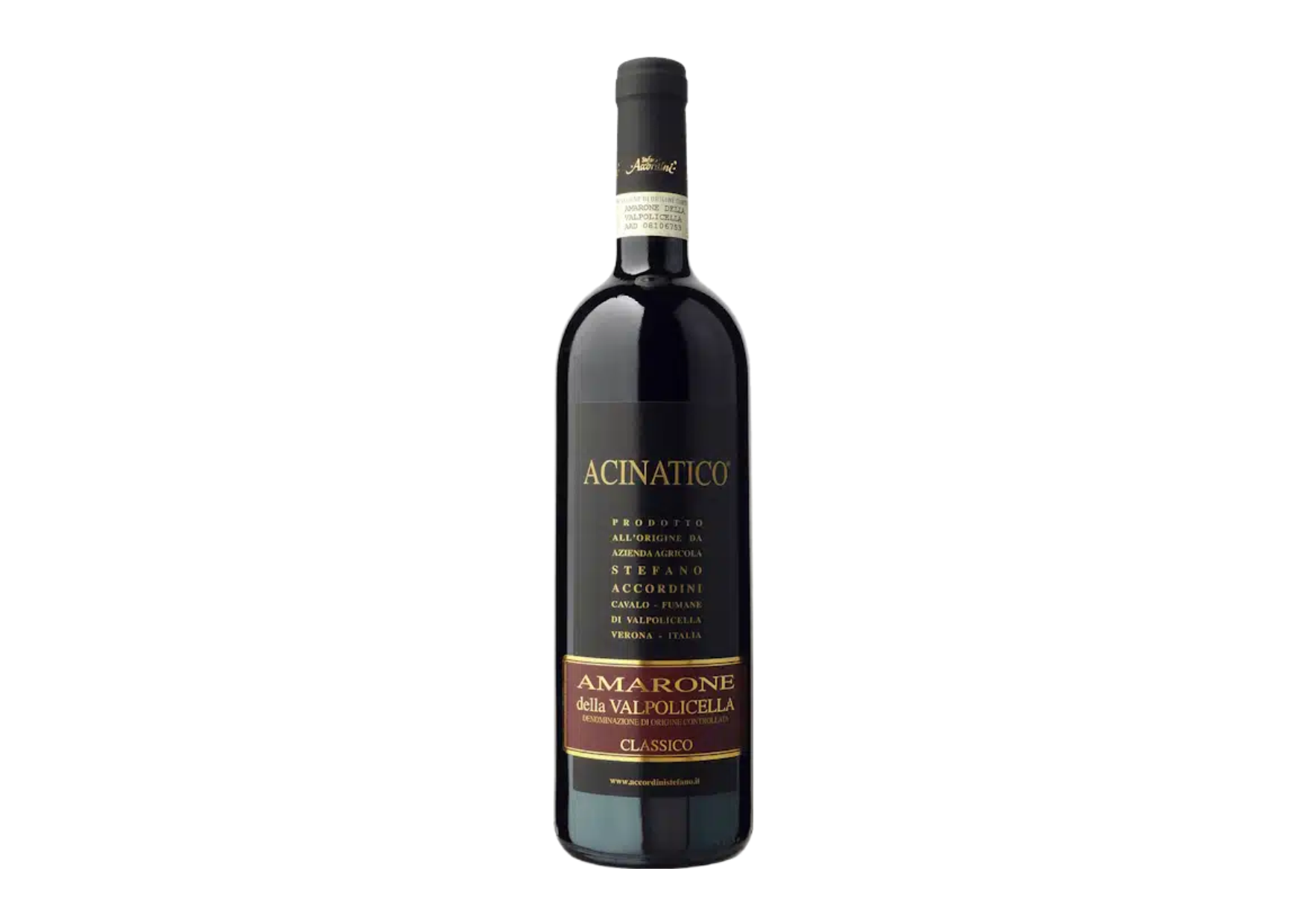 Stefano Accordini Amarone della Valpolicella Classico – Acinatico - 2019