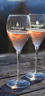Ferrari Maximum Rosé
