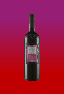 Apollonio Terragnolo Negroamaro